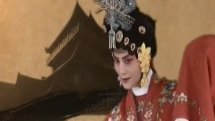 电视剧