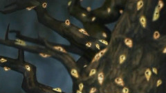 Worms