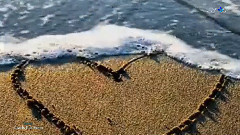 Love Is The Ocean (Beautiful Love Song)