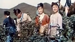採茶歌