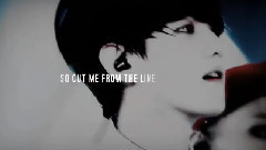 Shatter Me