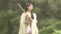 洞箫葬花吟