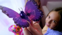 Flight Of The Butterfly