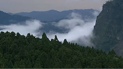 美妙的音乐