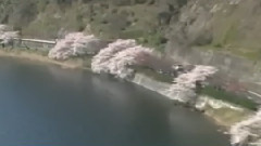 牵手