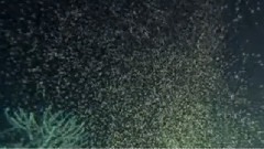 一个人的浪漫