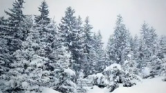 Snowfall 下雪