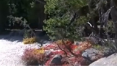 Shangri La