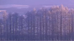 漫雪诗韵