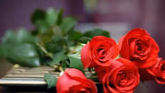 Red Roses For A Blue Lady