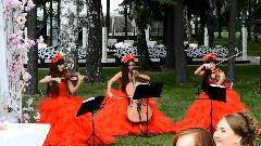 Wedding Trio - Violin Group DOLLS