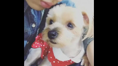 BAMBAM INS 更新