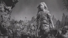 白毛仙姑