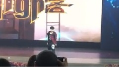 Tao武术表演