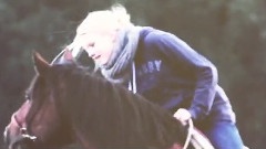 Horses Forever