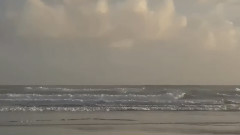 Sea Breeze