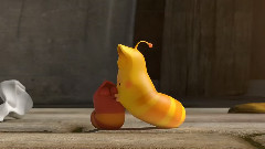 Larva In New York