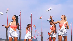 Flamin'Gos Promo 2014
