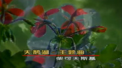 天鹅湖主题曲
