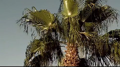 Official Starbeach Commercial 2011