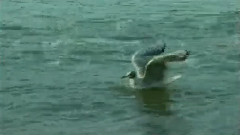 友谊地久天长