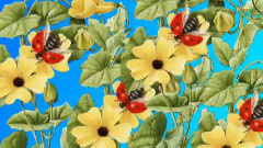 Ladybirds Dance