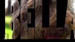 Olate Edition-Bella