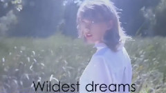 Wildest Dreams