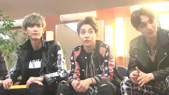 Stardust EXO Cut