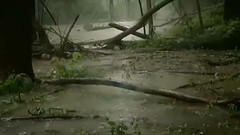 云门夜雨
