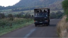 African Safari