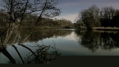 Spring Woods
