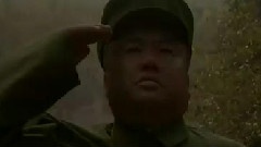 电视剧