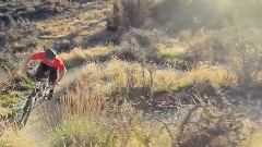 Lake Wanaka Mountain Biking