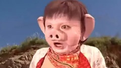 好春光