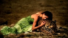 Life And Love Rumi Poetry