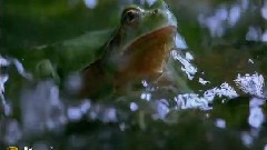 纯音5.1