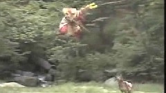 电视剧