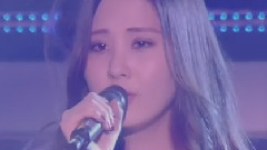 Everyday Love