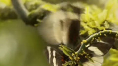 The Sounds Of Silence