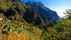 自然风景