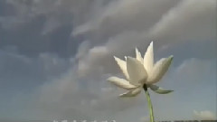 故事