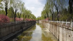 The Tsinghua Timelapse II