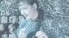 电影 <换了人间>