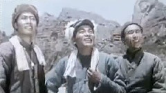 花儿(牡丹令)
