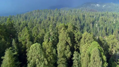 Amazing Nature Scenery