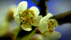 Just For You