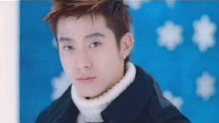 Snow Flake