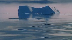 The Whale's Cradle