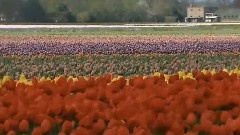 Musica Para Paisajes Que Serenan El Alma,Fantasia Musical No 16